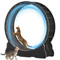 Large 40 inch Solid Wood Cat Exercise Wheel L532018