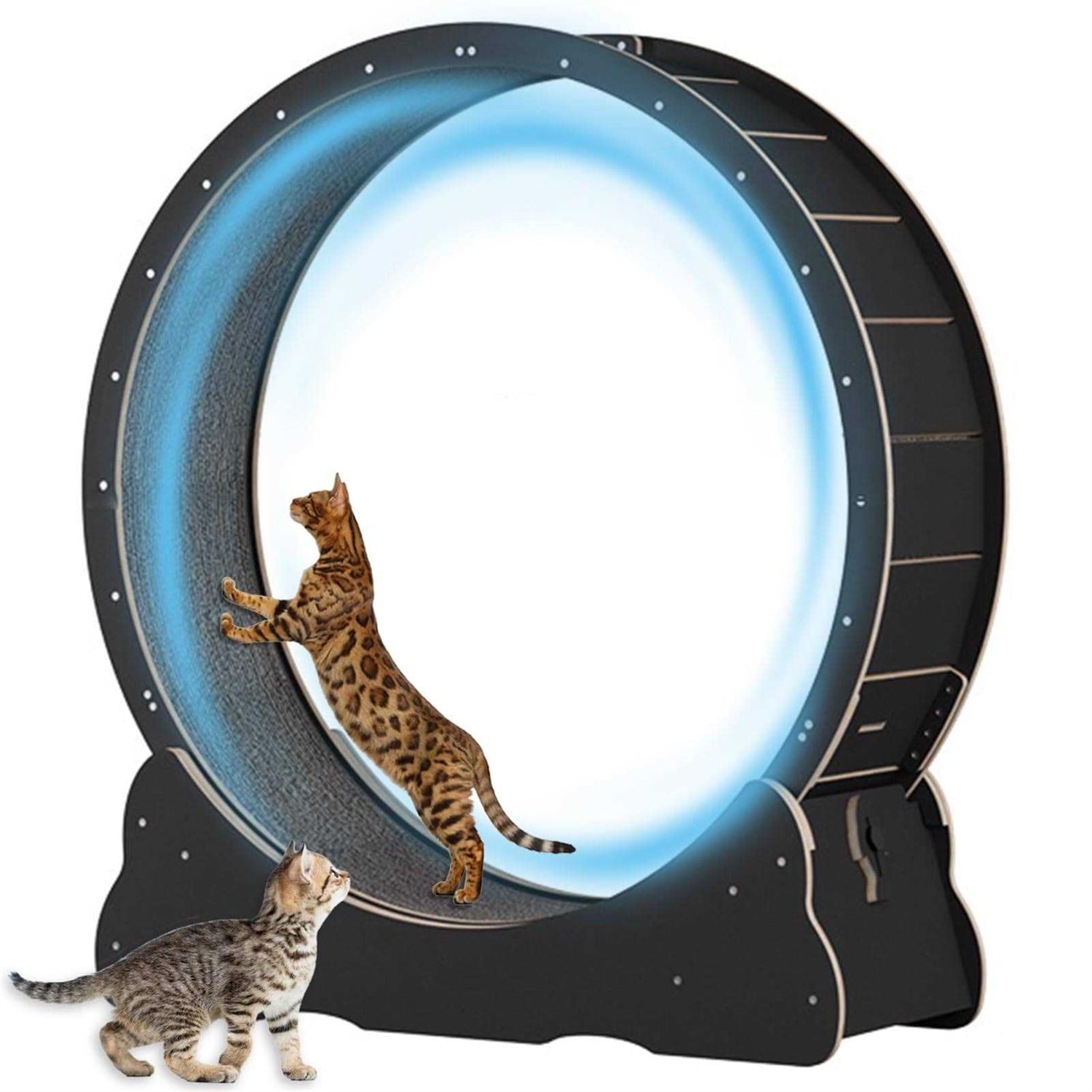 Large 40 inch Solid Wood Cat Exercise Wheel L532018