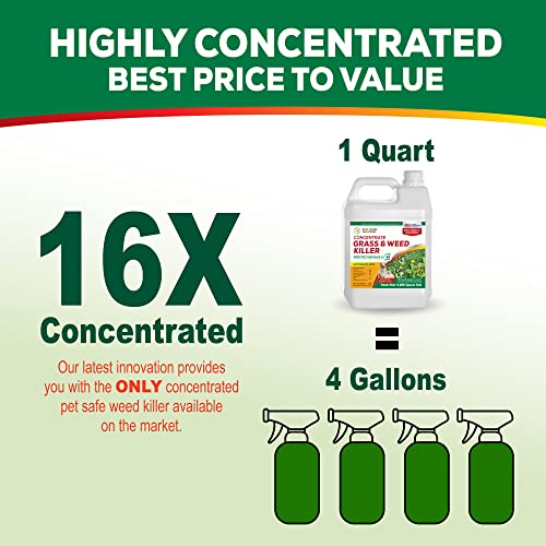 Weed Killer Concentrate H412587