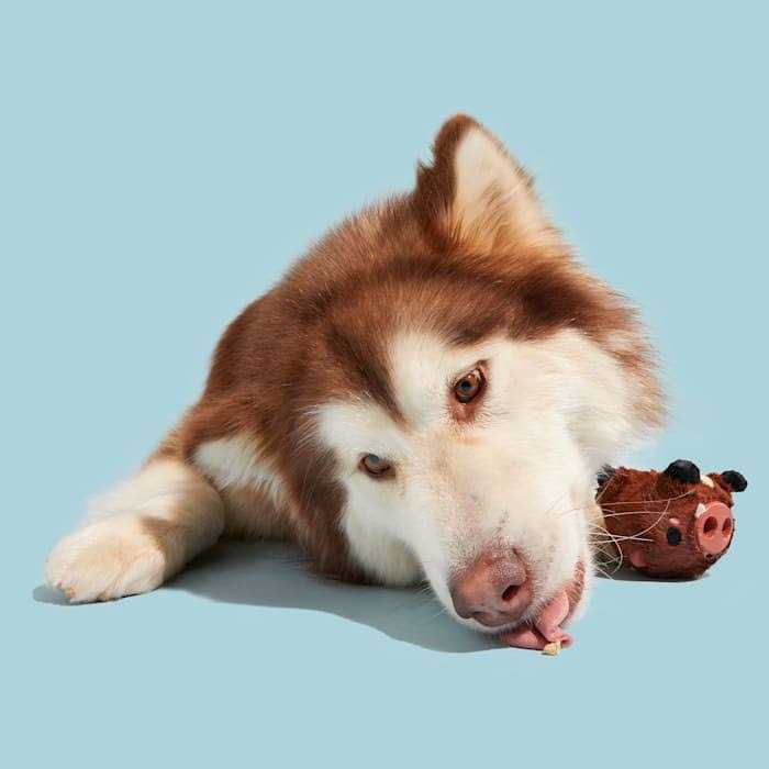 Super Chewer Dog Toy L1301
