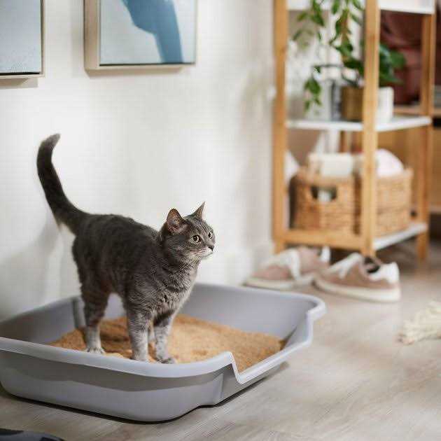 Catalyst Cat Litter Soft Wood V938970