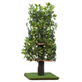 Cat Tree with Leaves Cat House & Cat Activity Tree A231078