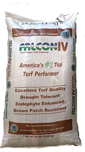 50 lbs. Turf Type Tall Fescue Grass Seeds U86171