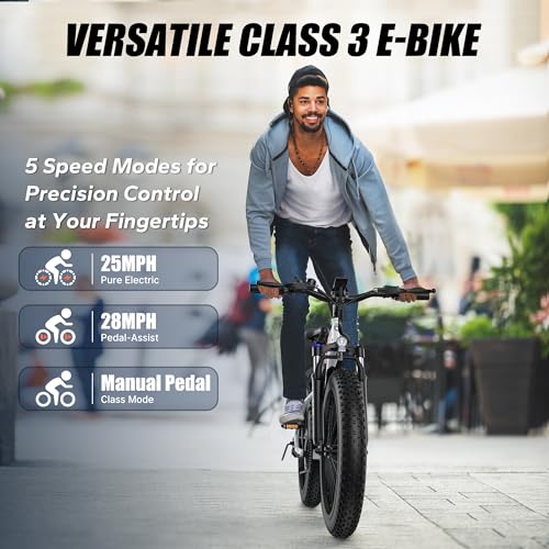 Fat Tire Electric Bike 26" 7-Speed Z15289