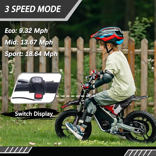 Blue 36V Electric Dirt Bike with 14'' Off-Road Knobby Tires H140418