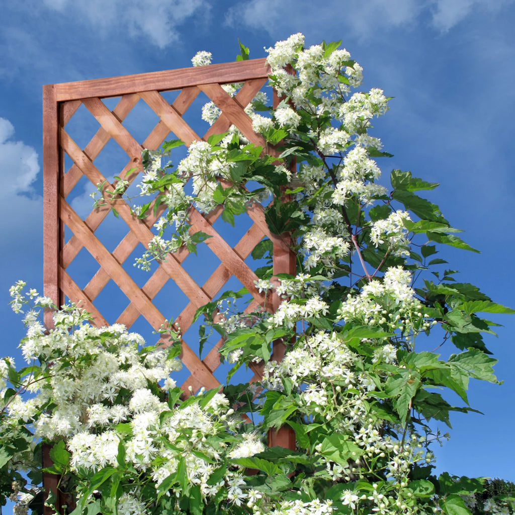 Walnut-Tone Diamond Lattice Trellis K5157