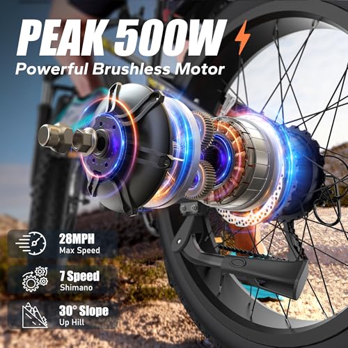 Fat Tire Electric Bike 26" 7-Speed Z15289