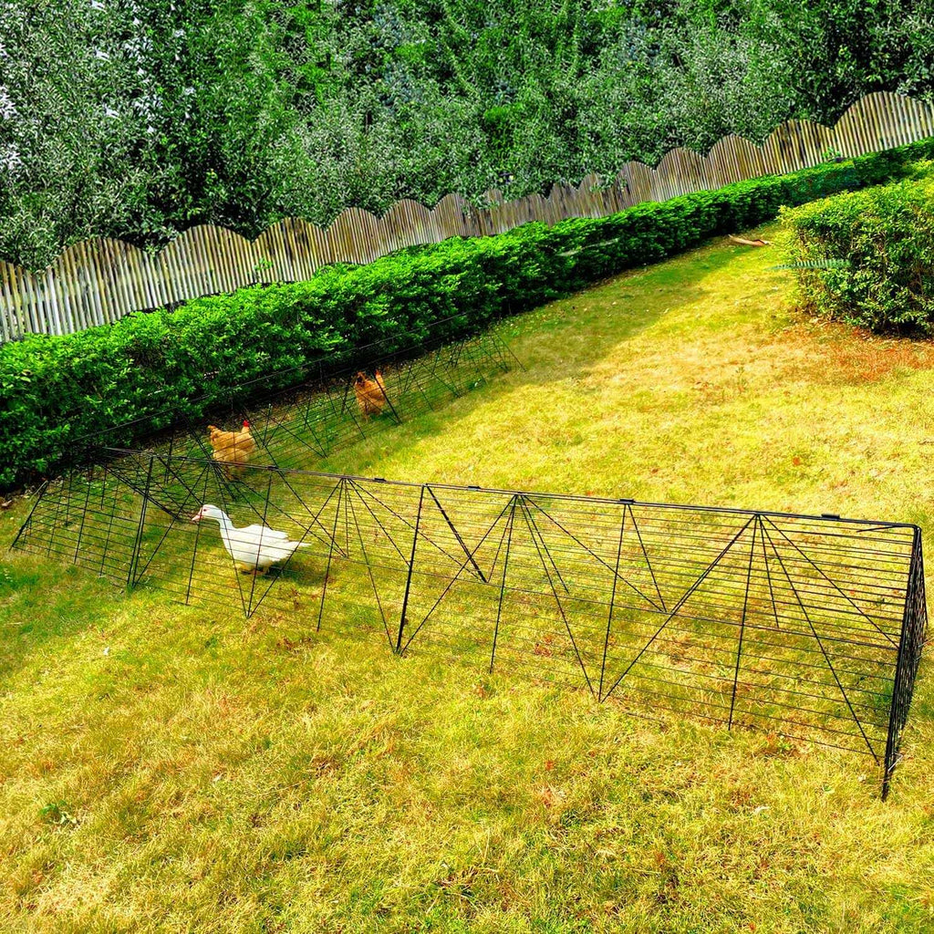 Chicken Tunnels O763411