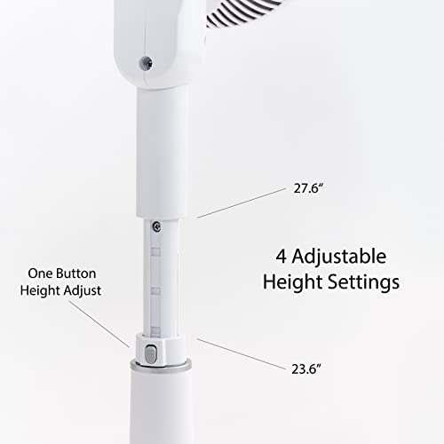 White/Gray Pedestal Standing Fan with Remote, 360 Oscillating Fan, 12 Speeds, 8h Timer, Height Adjustable H4426