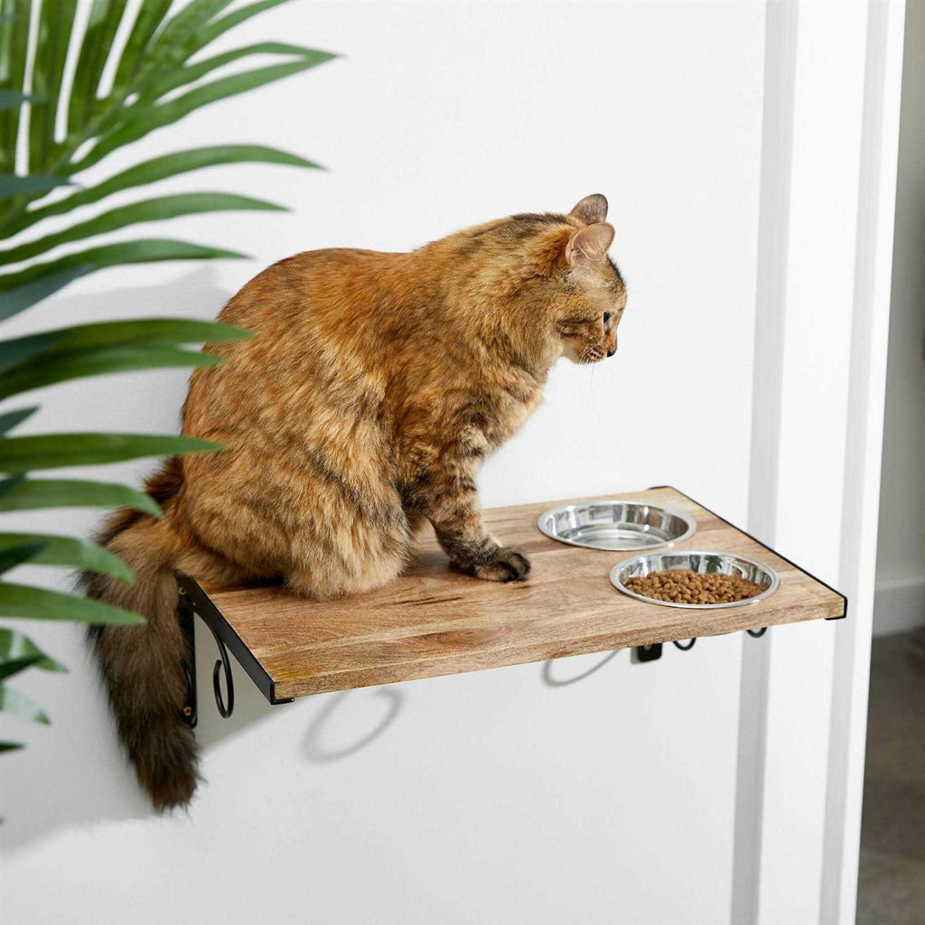 Wooden Wall Mounted Stainless Steel Cat Feeding Station with Bowl Q9886