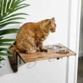 Wooden Wall Mounted Stainless Steel Cat Feeding Station with Bowl Q9886