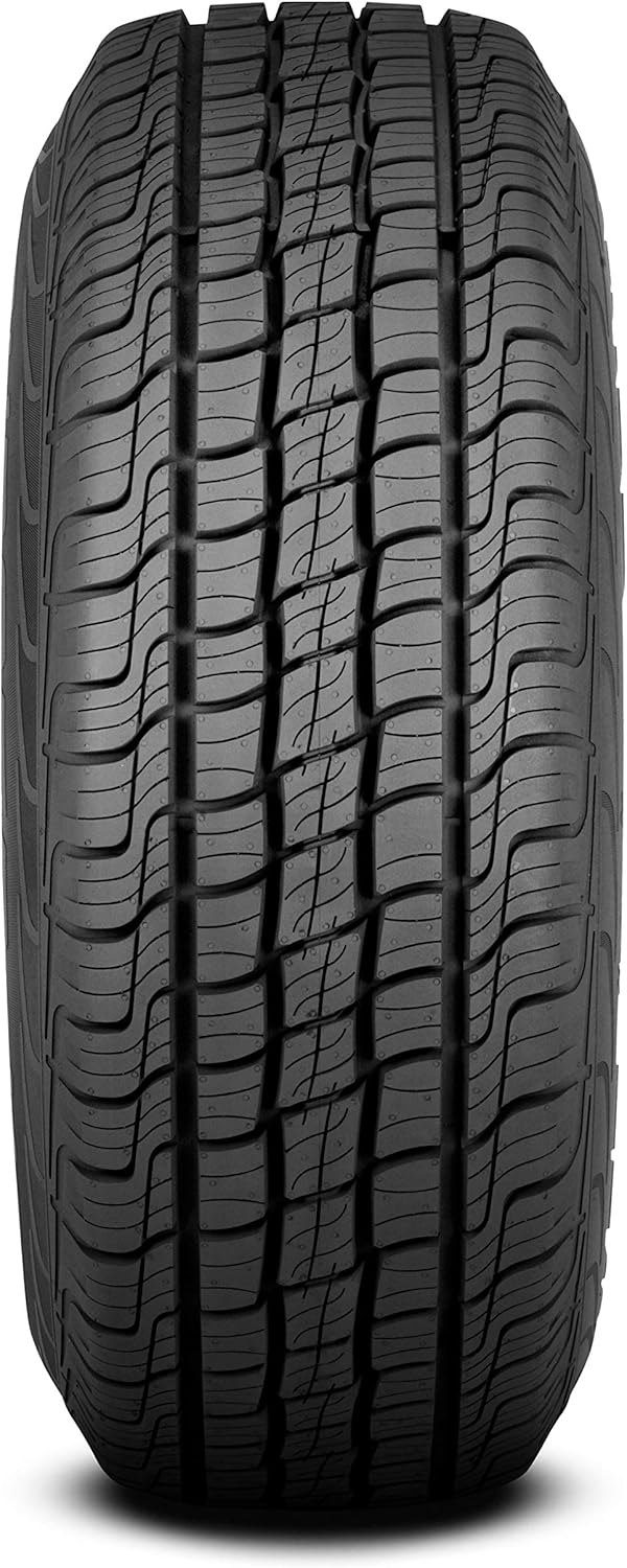 225/55R19 Tire T95589