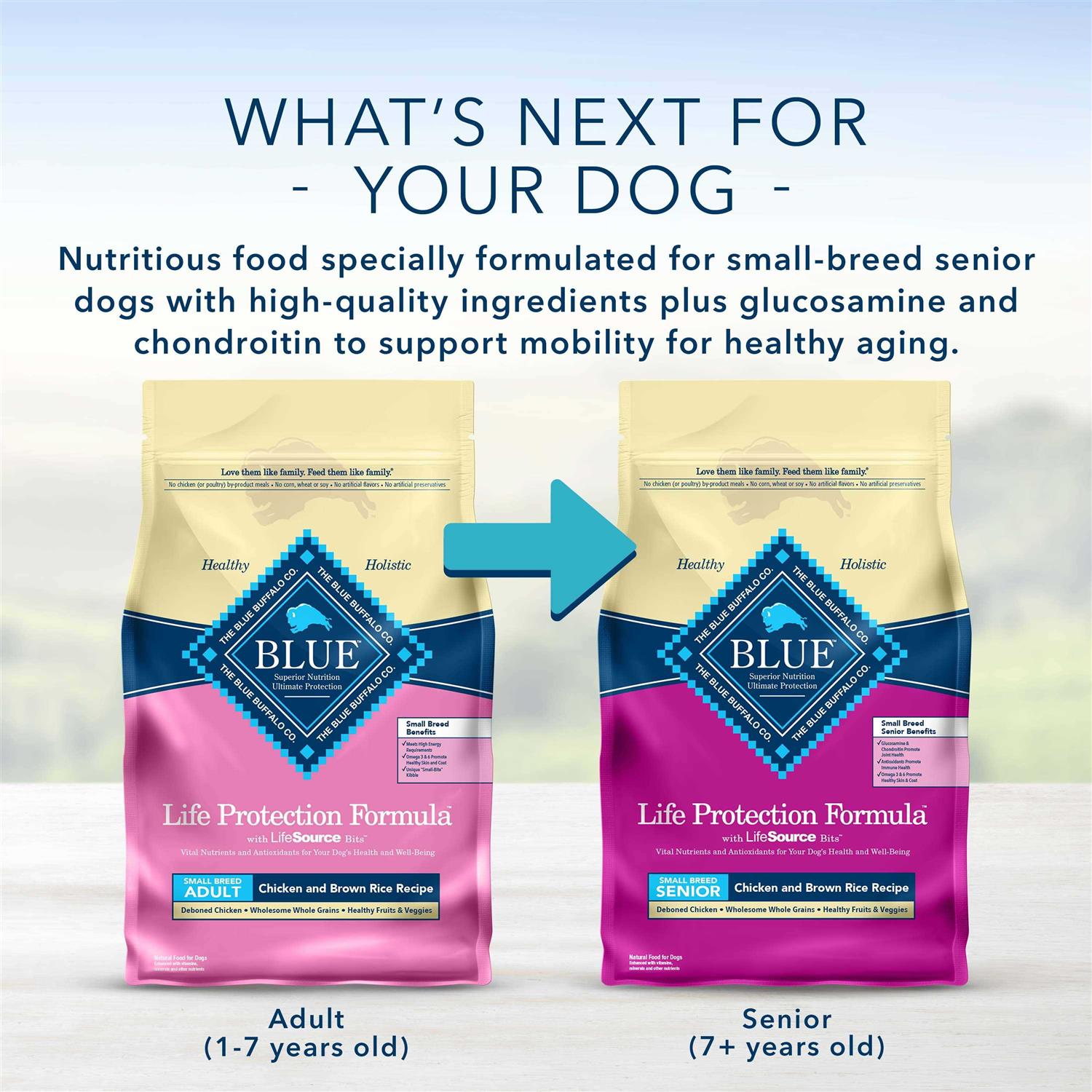 Small Breed Adult Lamb & Brown Rice Recipe Dry Dog Food O557797
