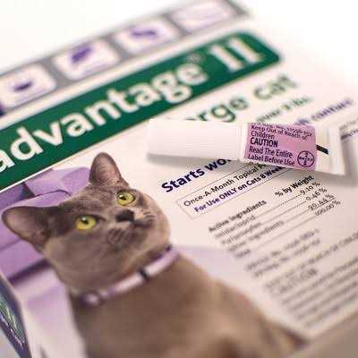 Advantage II Flea Treatment Cats S417