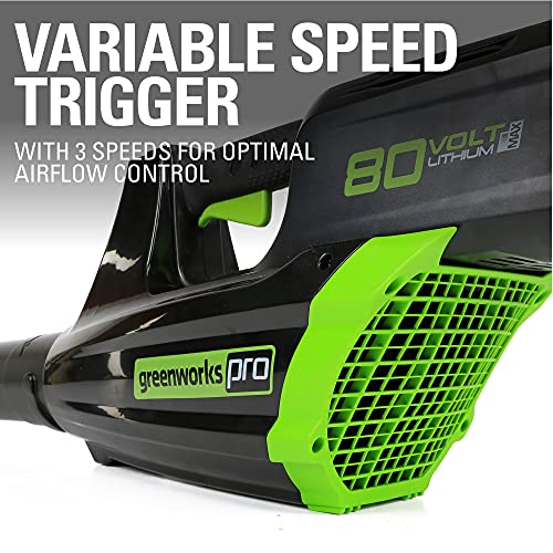 80V Cordless Brushless String Trimmer and Leaf Blower Combo with 2Ah Battery and Charger Z8303