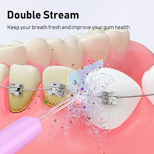 Portable Water Dental Flosser with 4 Jet Tips O379780