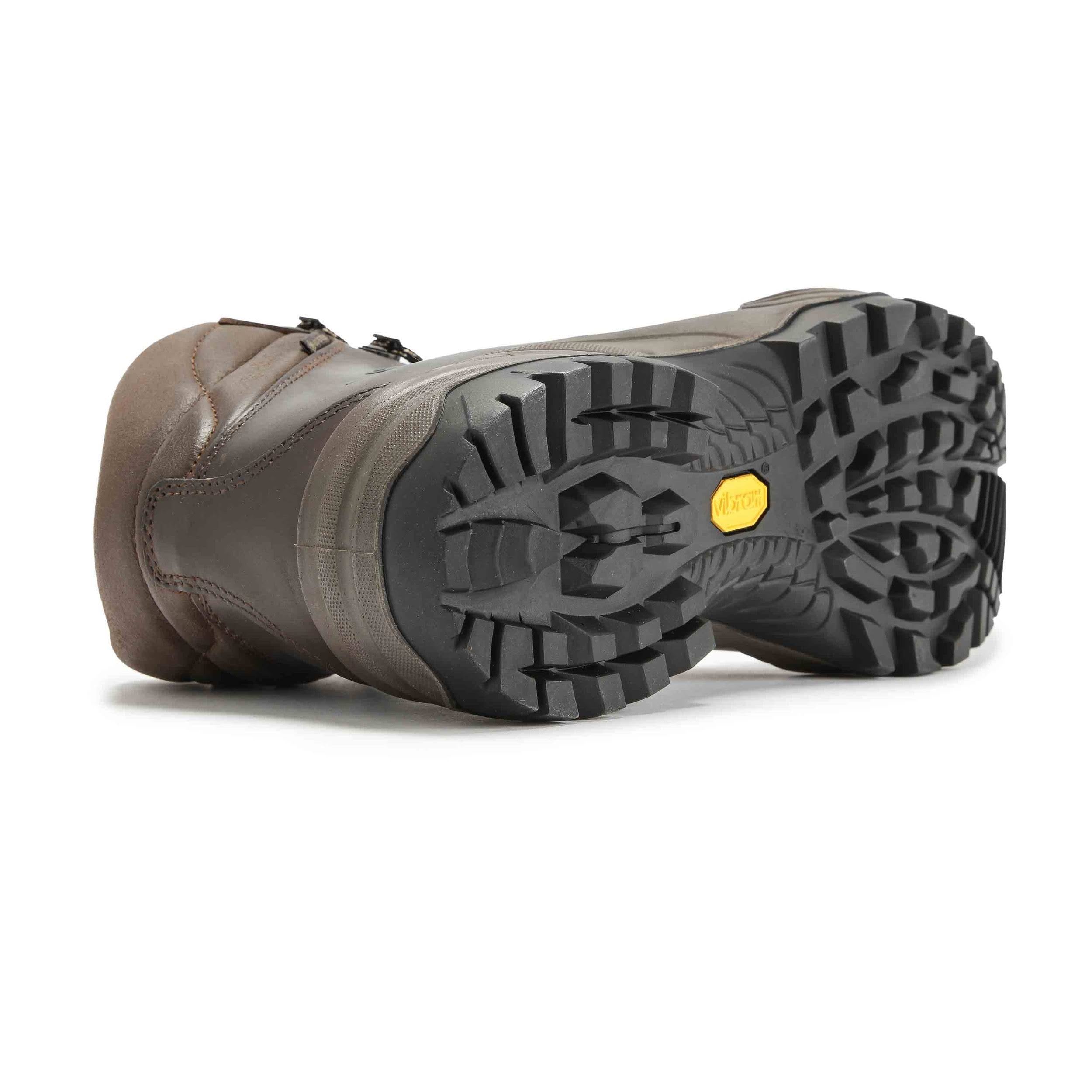 Brown Terra GTX Shoes J624