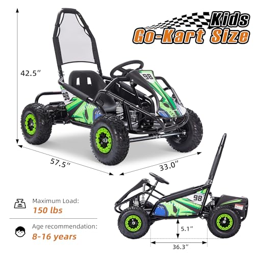 48V 12Ah Battery Electric Go Kart E223