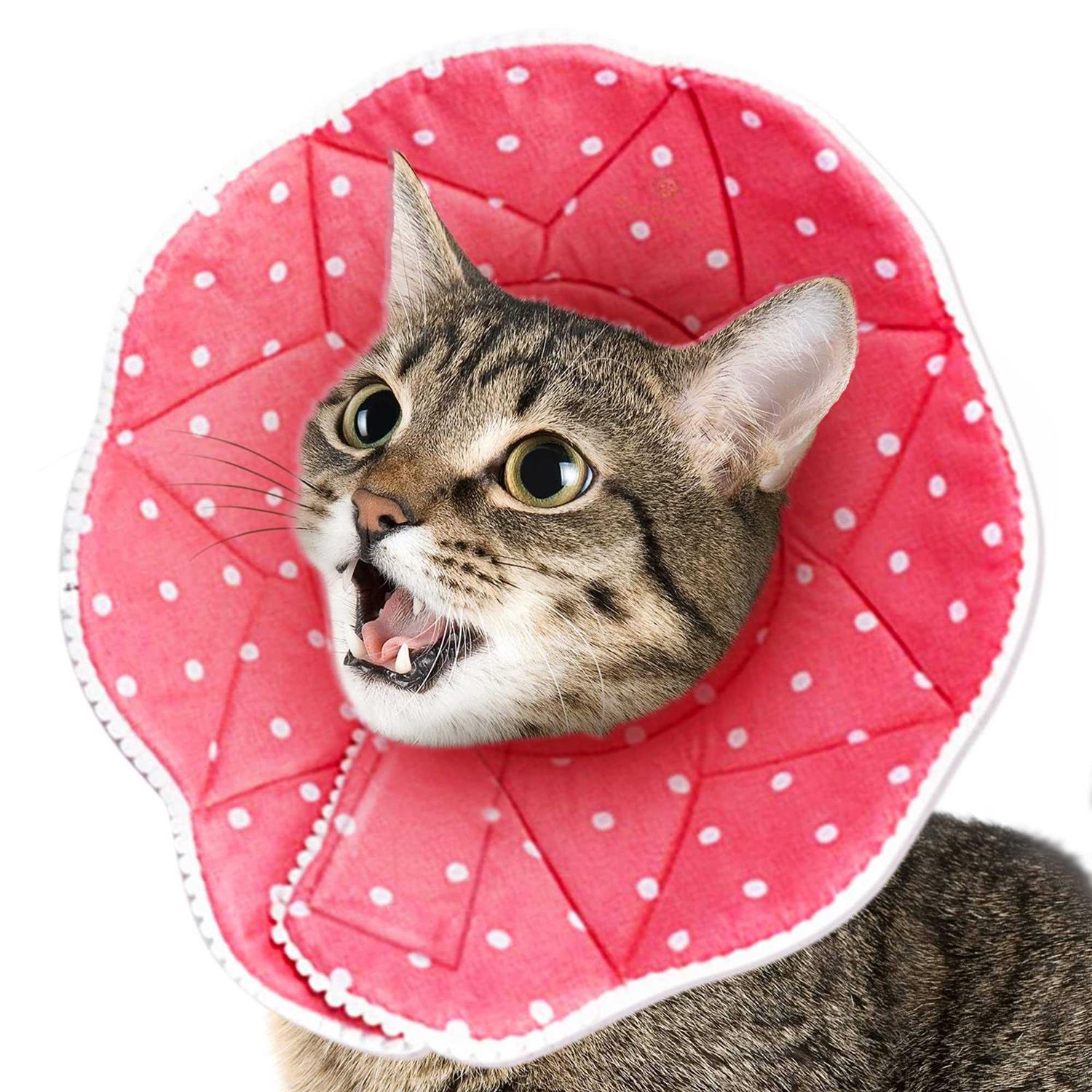 Soft e Collar for Small Dogs & Cats L485