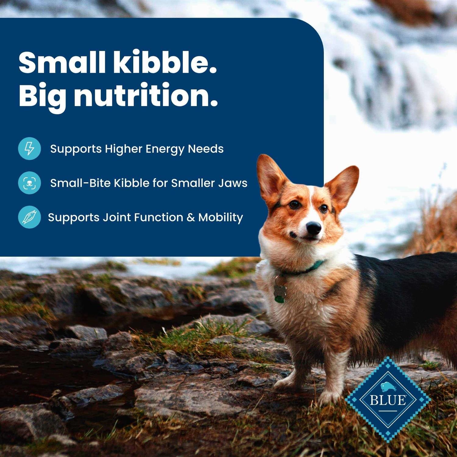 Small Breed Adult Lamb & Brown Rice Recipe Dry Dog Food O557797