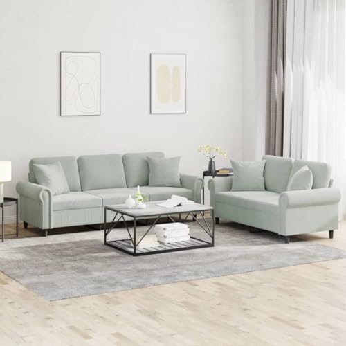 Light Gray Velvet 2 Piece Sofa Set Z375801