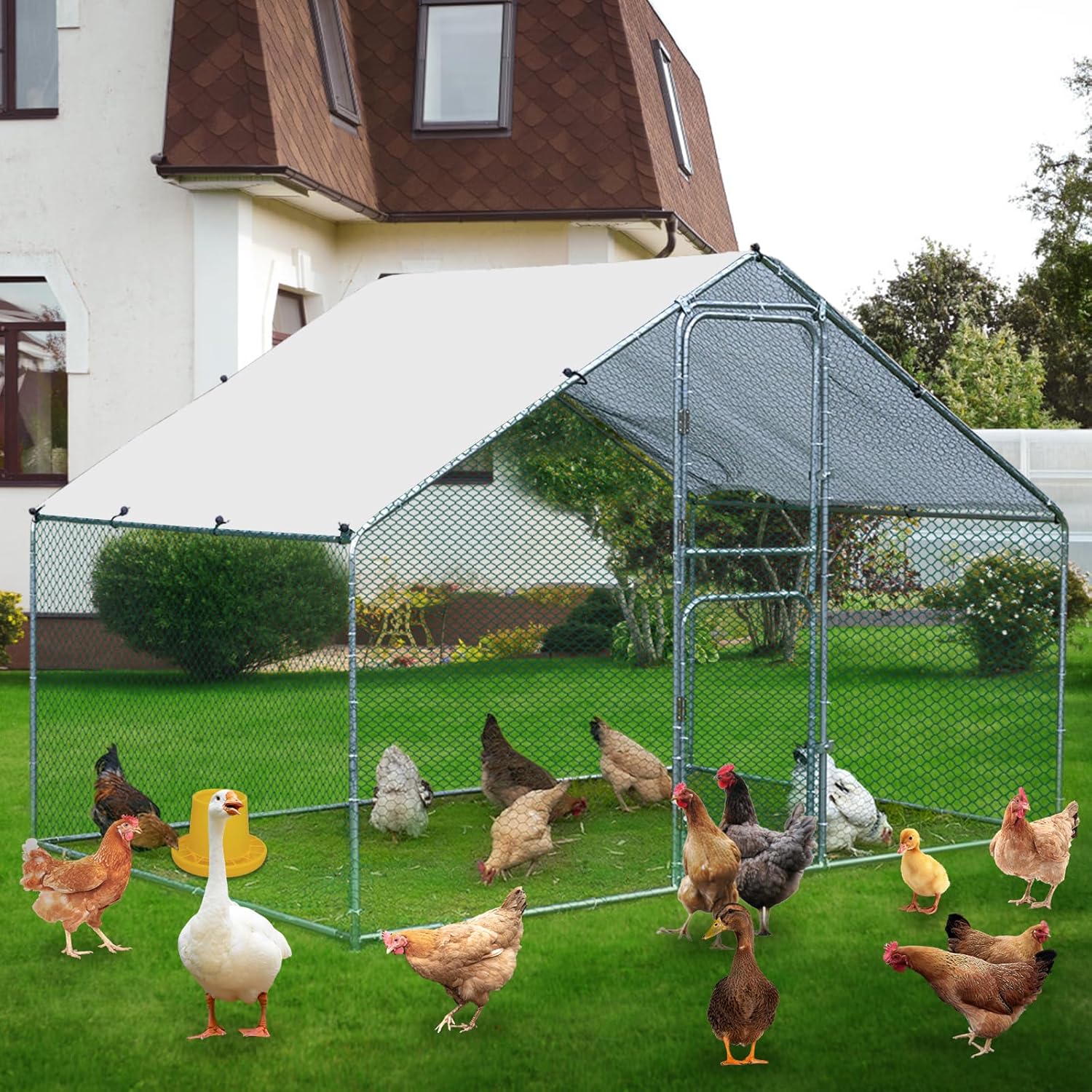 Large Metal Chicken Coop with Anti-UV Cover (9.8 * 6.6FT) N117067