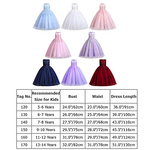 Lace Long Tulle Dress E110