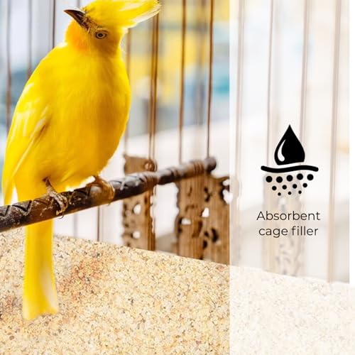Coarse Silica Sand - 10LB - Horticultural Sand V941