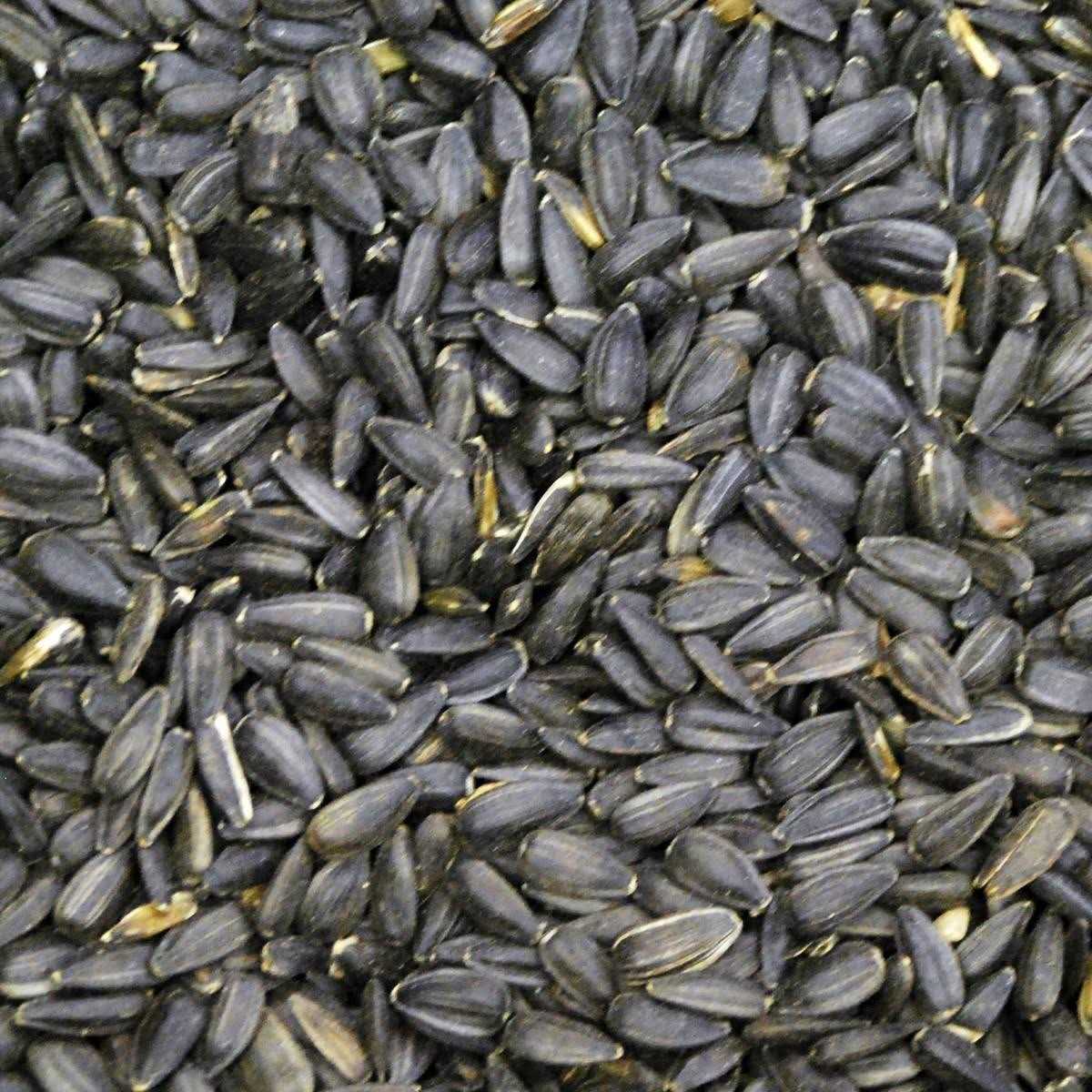 50 lbs Black Oil Sunflower Wild Bird Feed F3987