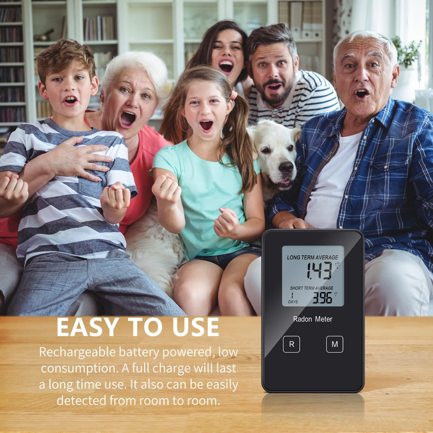 Portable Radon Detector with Rechargeable Battery D429