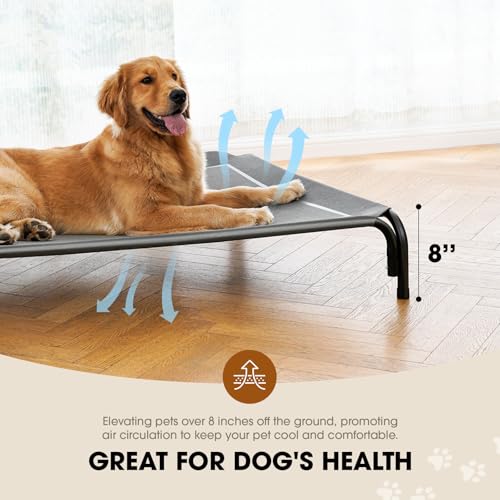 Elevated Dog Bed for Extra Large Dog with Breathable Mesh D795663