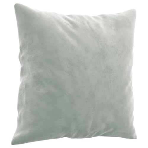 Light Gray Velvet 2 Piece Sofa Set Z375801