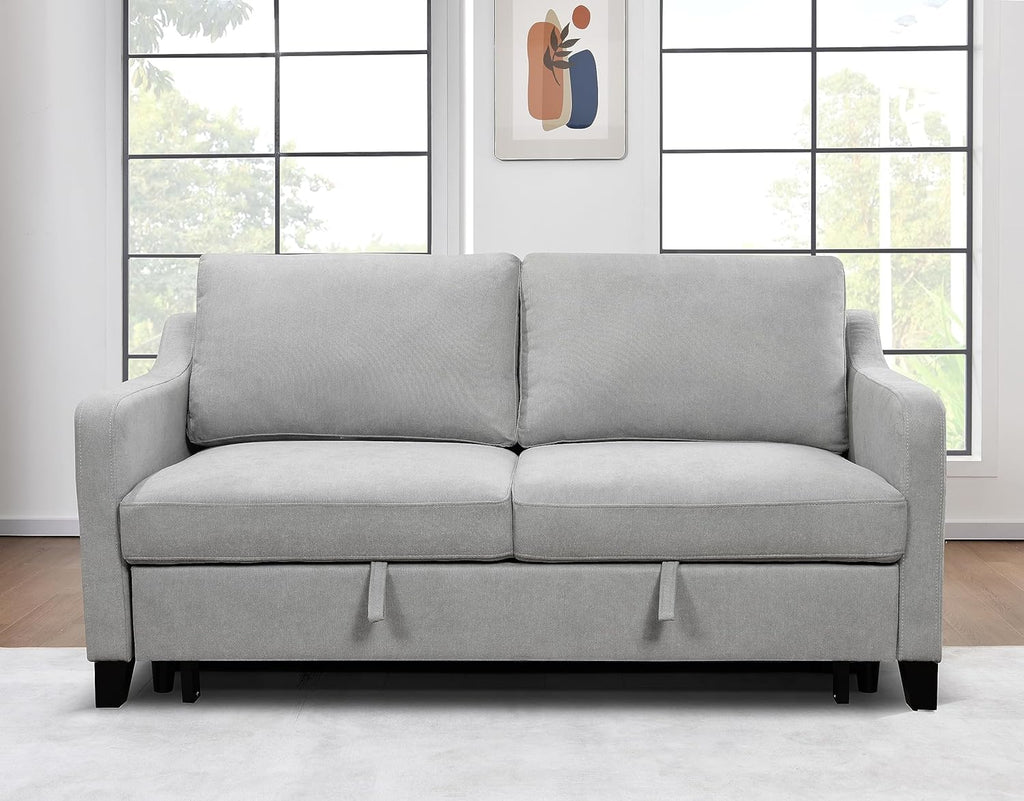 Light Gray Queen Sleeper Sofa Bed with Pullout Bed Z29480