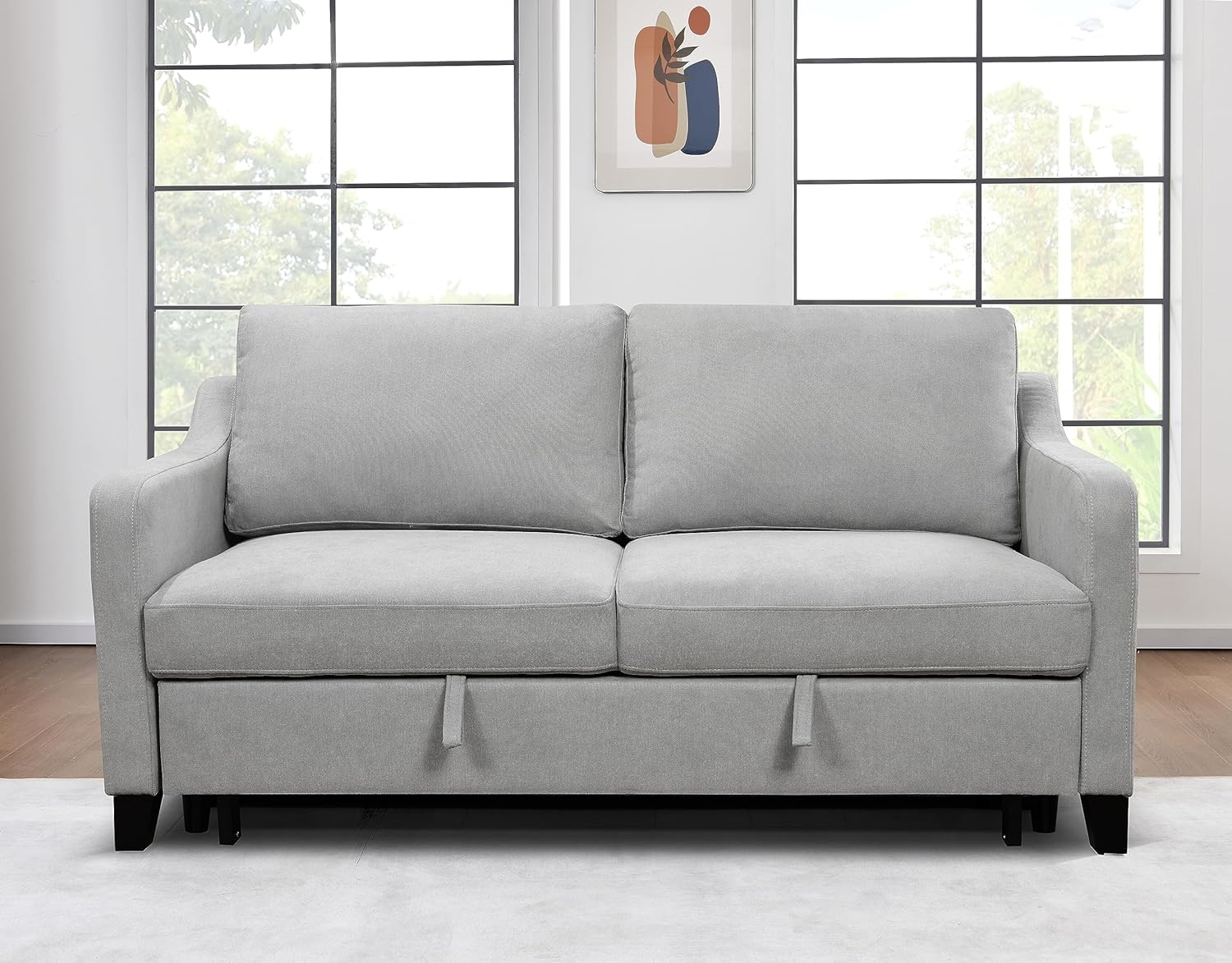 Light Gray Queen Sleeper Sofa Bed with Pullout Bed Z29480