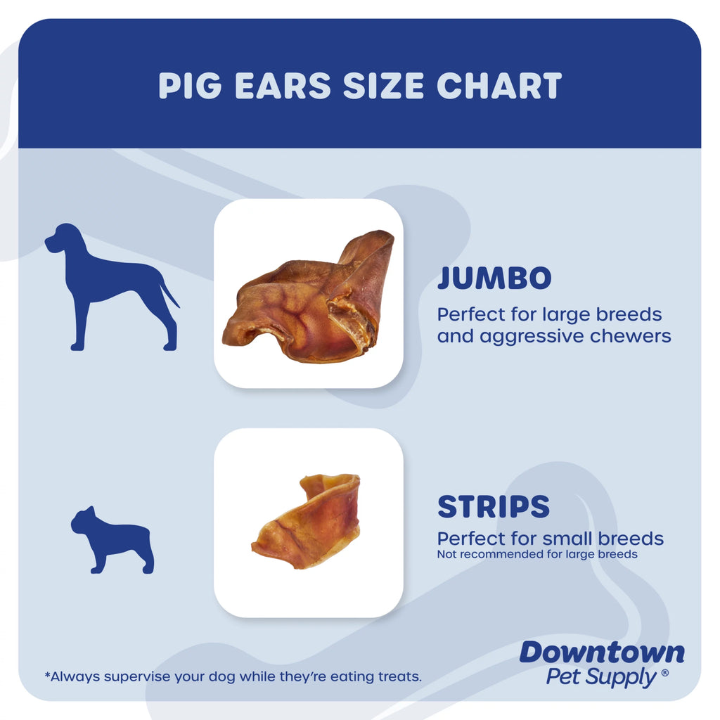 35 Pack Pig Ears Dog Chews Y1362