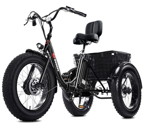 Electric Tricycle with 20" x 4.0 Fat Tire, 36V 350W 13Ah Lithium Battery G121128