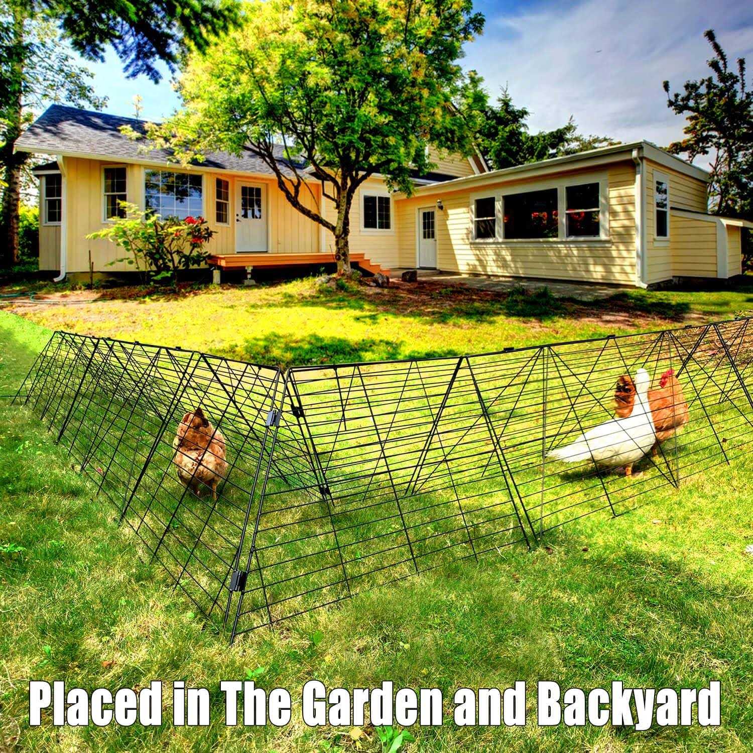Chicken Tunnels O763411