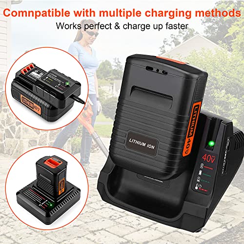40 Volt 2.0Ah Lithium Battery W815