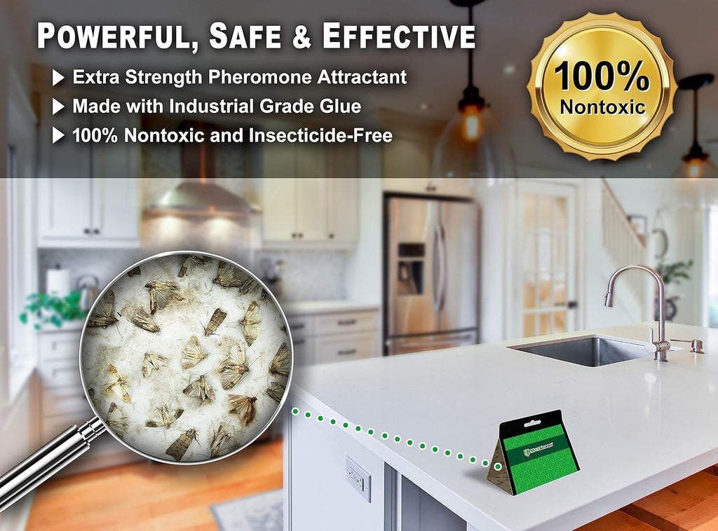 24 Pack Non-Toxic Sticky Glue Trap C15899