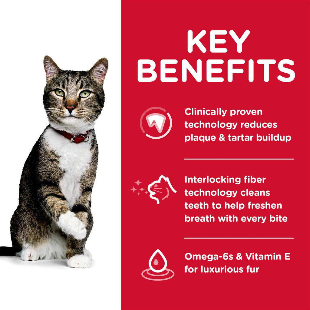 Oral Care Adult Dry Cat Food I856
