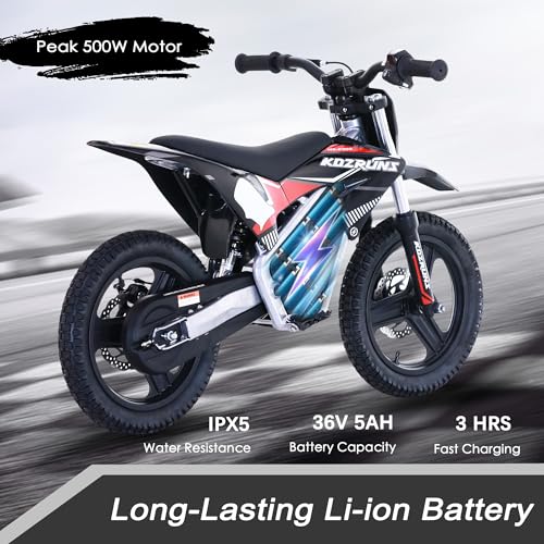 Blue 36V Electric Dirt Bike with 14'' Off-Road Knobby Tires H140418
