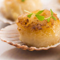2 lbs Colossal Sea Scallops Z290128