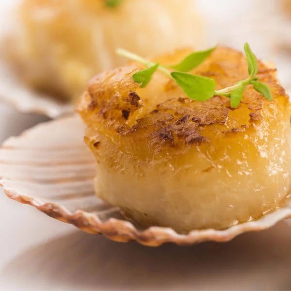 2 lbs Colossal Sea Scallops Z290128