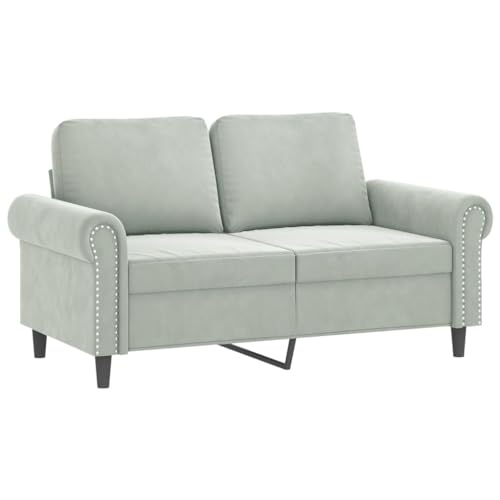 Light Gray Velvet 2 Piece Sofa Set Z375801