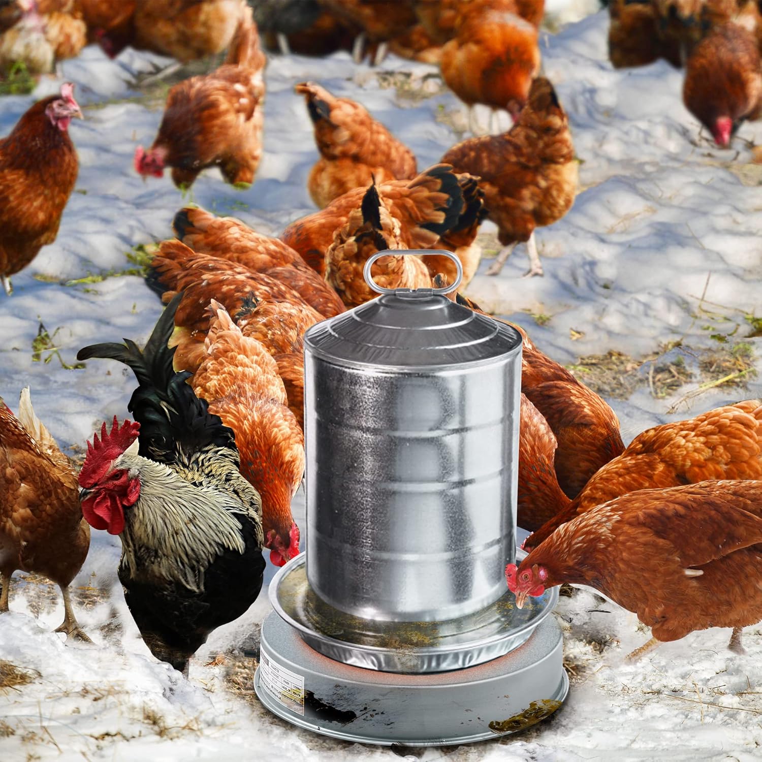 Heated Base Chicken Water Heater 125 Watts K364919