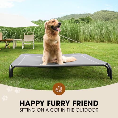 Elevated Dog Bed for Extra Large Dog with Breathable Mesh D795663