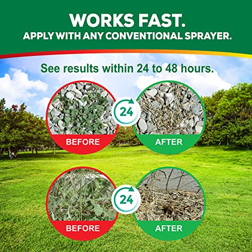 Weed Killer Concentrate H412587