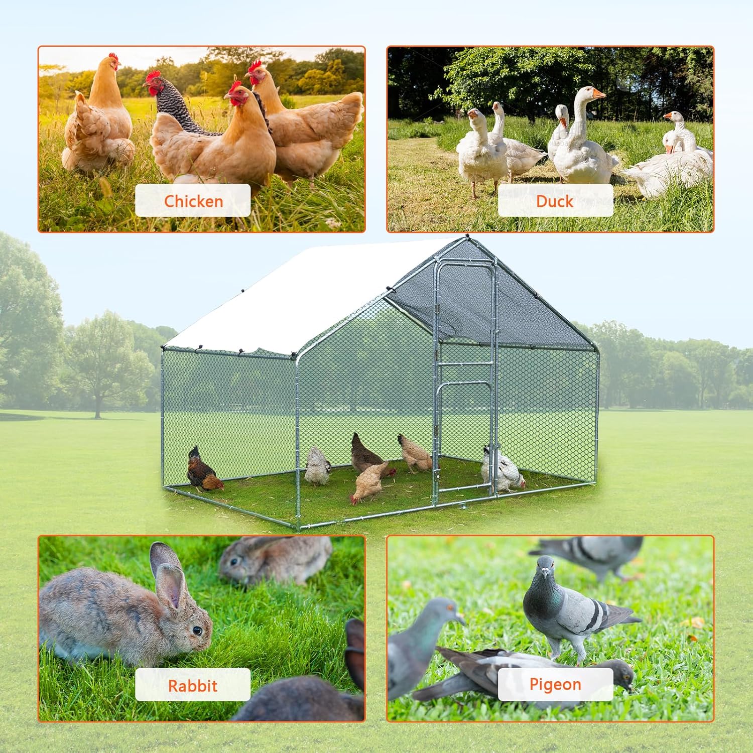 Large Metal Chicken Coop with Anti-UV Cover (9.8 * 6.6FT) N117067