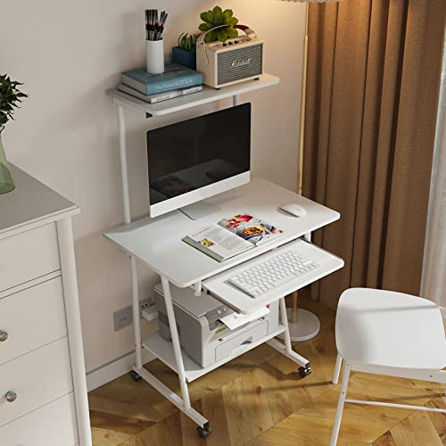 Small Computer Desk with Storage Shelves S488111