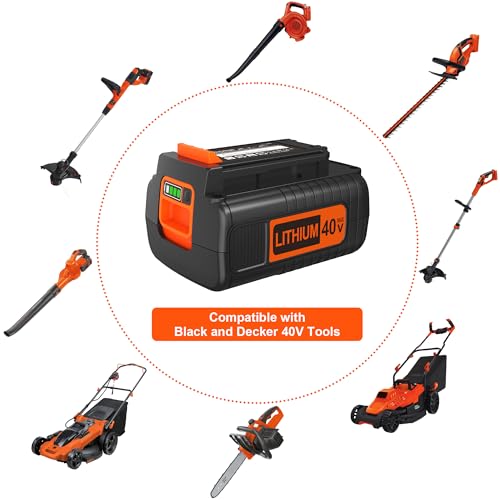 40 Volt 2.0Ah Lithium Battery W815
